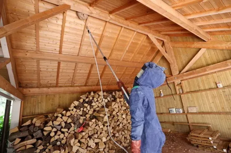 Traitement d'un nid de guêpes sous toiture à Riom